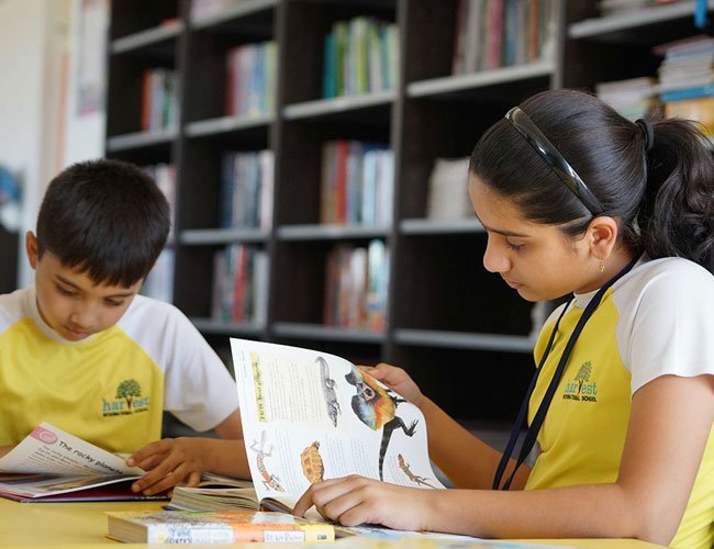Library 2