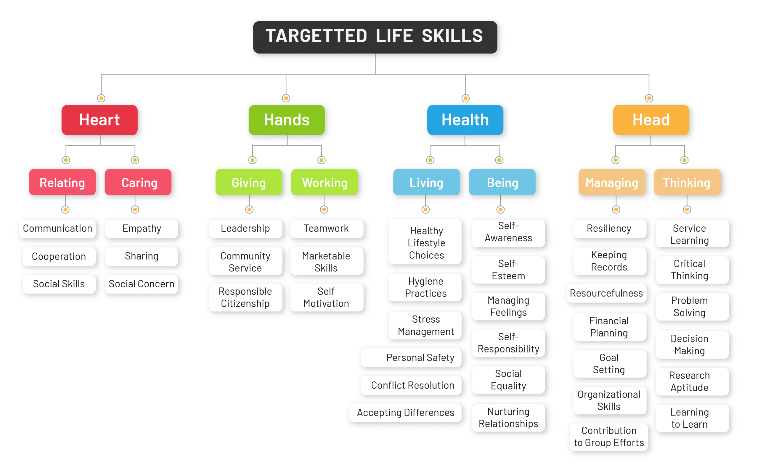 Life Skills 11